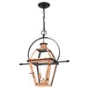 Quoizel Rue De Royal Outdoor Hanging Lantern RO1911AC